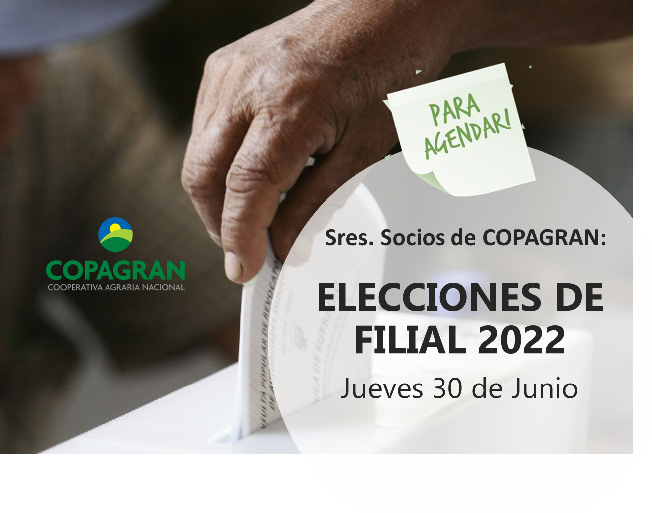 elecciones-de-filial-30-de-junio-de-2022