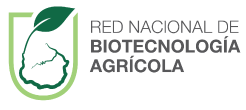 Red de biotecnologia